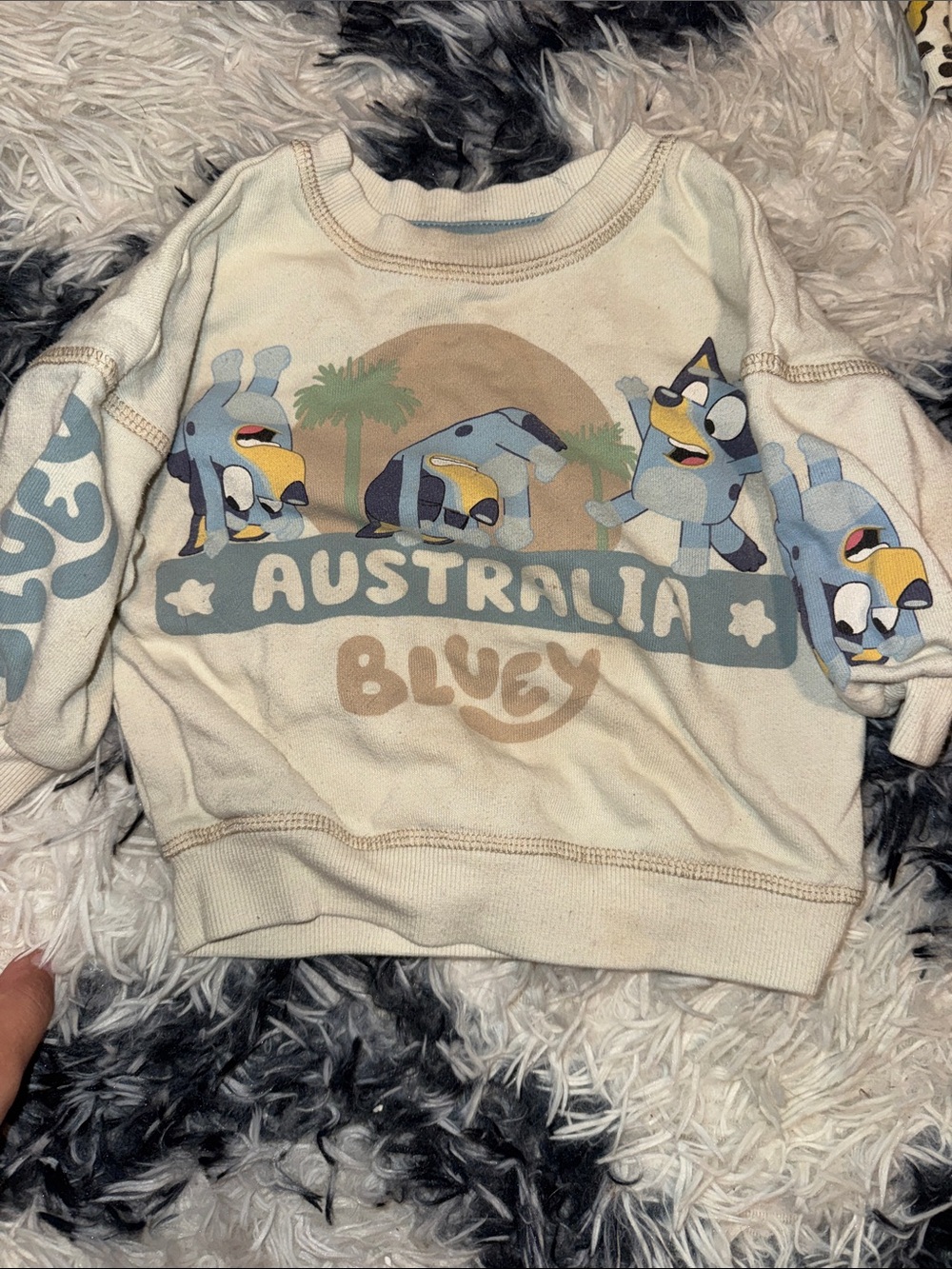 Bluey Australia Graphic Crewneck Sweatshirt for Kids - Blue/Cream